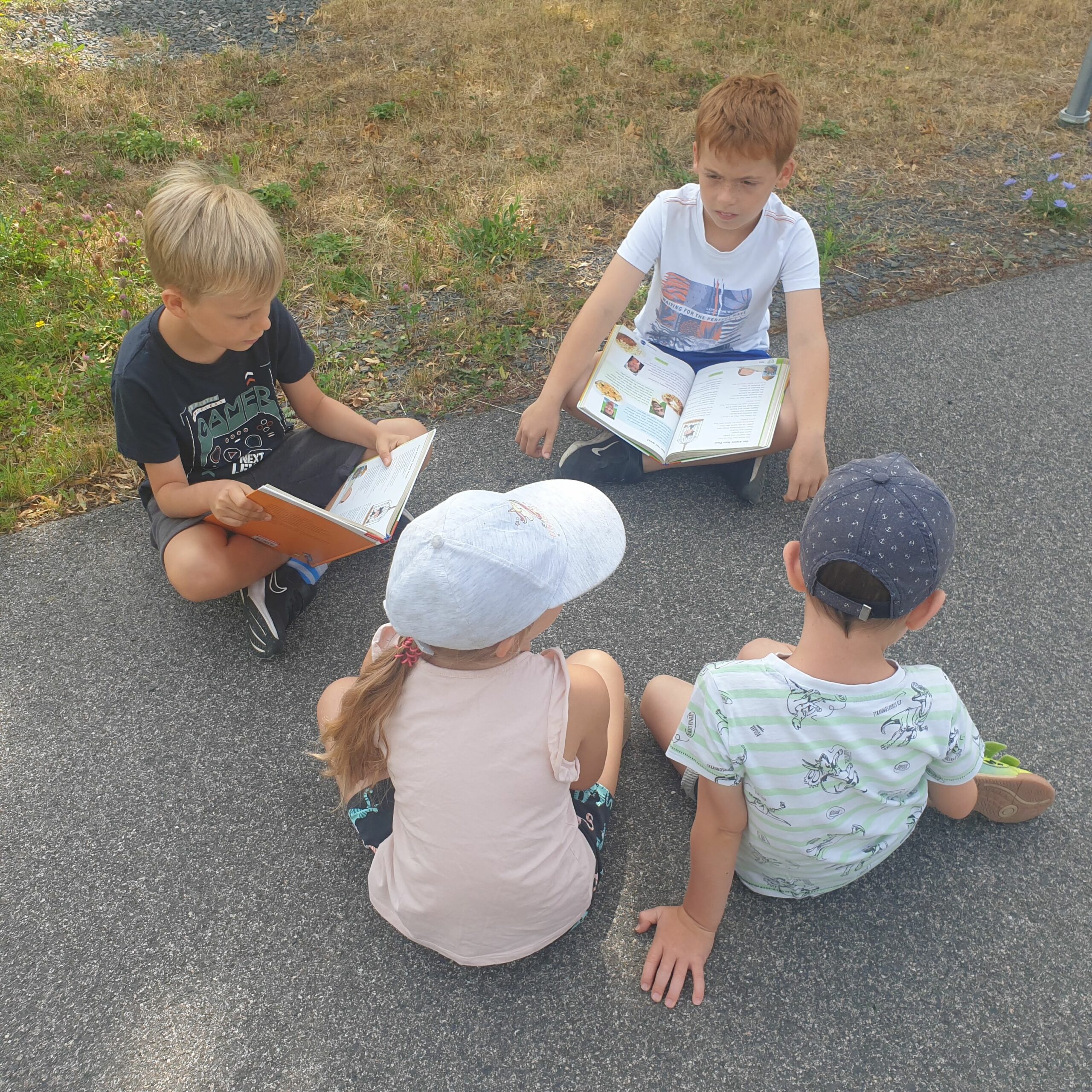 Lesepicknick1